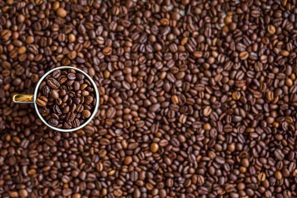 ogden ut coffee shops to try ogden ut coffee shops that cater