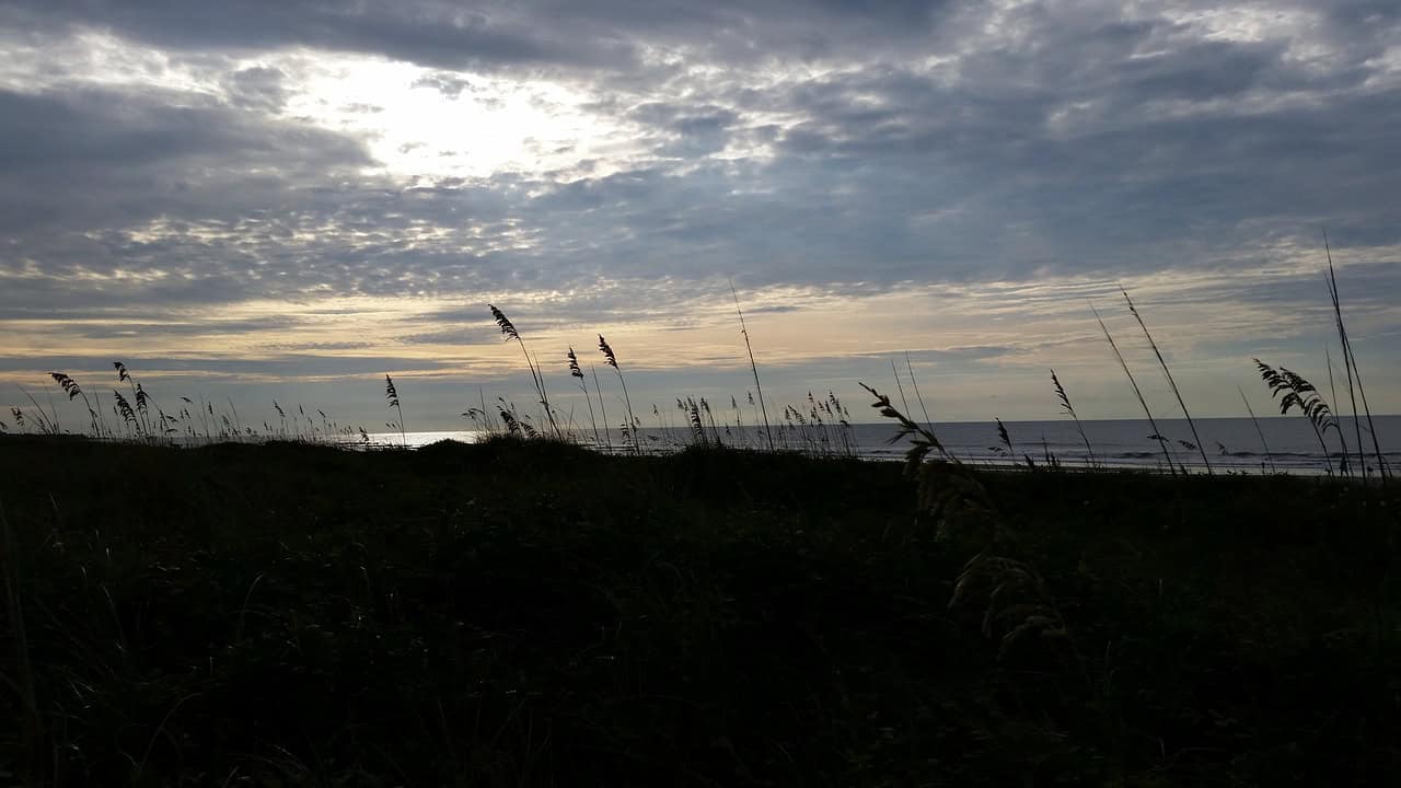 charleston sc beaches to experience beaches near by charleston sc